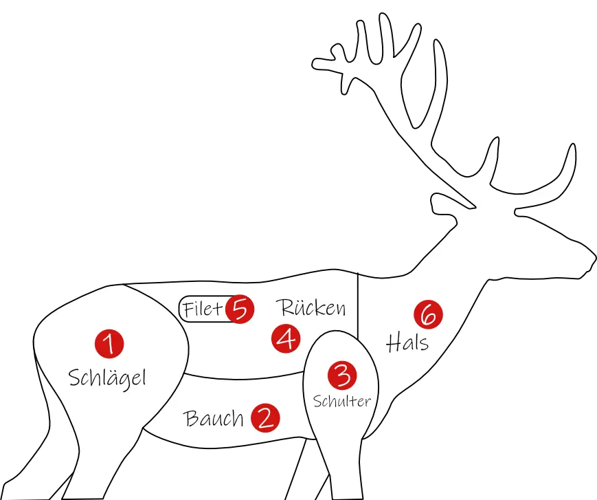 Schema eines Rothirschen eingeteilt in Segmente, die die verschiedenen Fleischteile aufzeigen wie zum Beispiel Schlägel, Bauch, Rücken